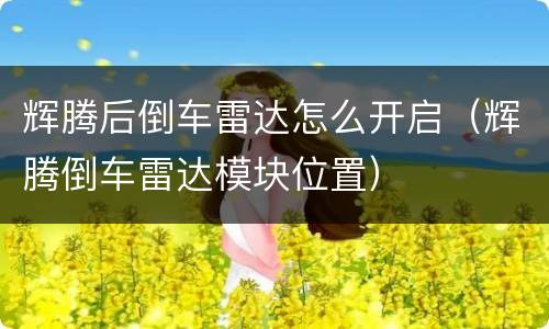 辉腾后倒车雷达怎么开启（辉腾倒车雷达模块位置）