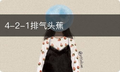4-2-1排气头蕉