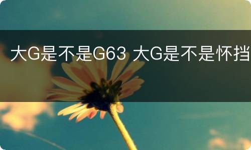 大G是不是G63 大G是不是怀挡
