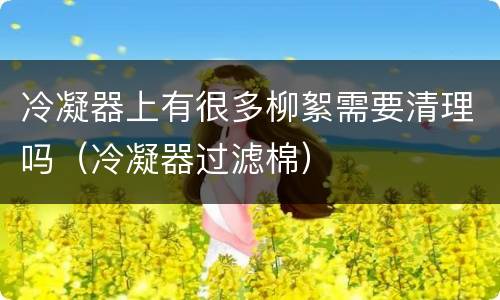 冷凝器上有很多柳絮需要清理吗（冷凝器过滤棉）