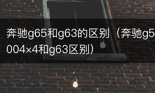 奔驰g65和g63的区别（奔驰g5004×4和g63区别）