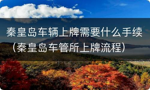 秦皇岛车辆上牌需要什么手续（秦皇岛车管所上牌流程）