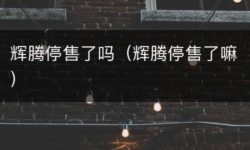 辉腾停售了吗（辉腾停售了嘛）