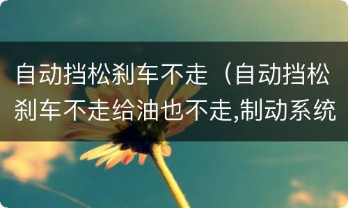 自动挡松刹车不走（自动挡松刹车不走给油也不走,制动系统故障）