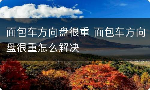 面包车方向盘很重 面包车方向盘很重怎么解决