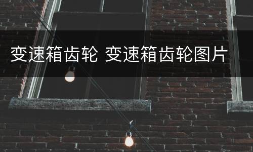 变速箱齿轮 变速箱齿轮图片