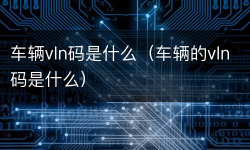 车辆vln码是什么（车辆的vln码是什么）