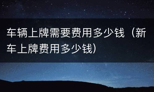 车辆上牌需要费用多少钱（新车上牌费用多少钱）