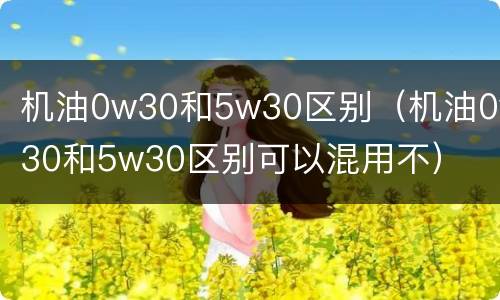 机油0w30和5w30区别（机油0w30和5w30区别可以混用不）