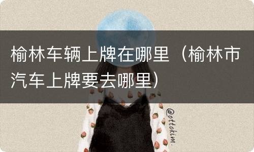 榆林车辆上牌在哪里（榆林市汽车上牌要去哪里）