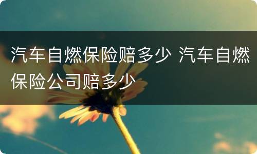 汽车自燃保险赔多少 汽车自燃保险公司赔多少