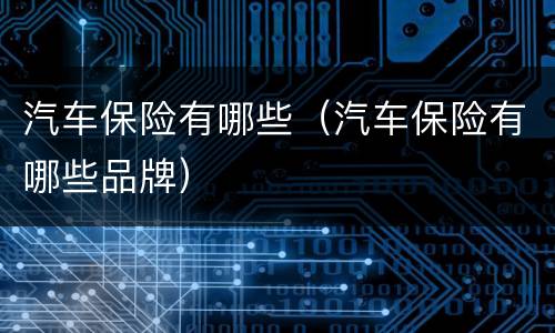 汽车保险有哪些（汽车保险有哪些品牌）