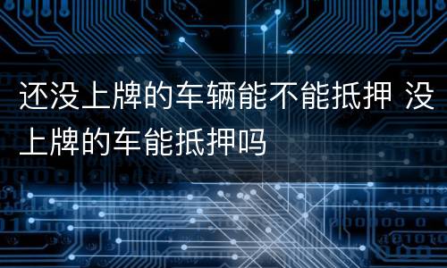 还没上牌的车辆能不能抵押 没上牌的车能抵押吗