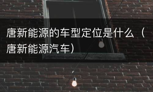 唐新能源的车型定位是什么（唐新能源汽车）