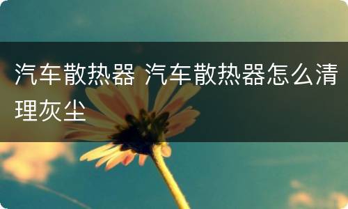 汽车散热器 汽车散热器怎么清理灰尘