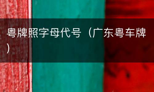 粤牌照字母代号（广东粤车牌）