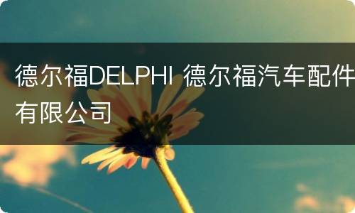 德尔福DELPHI 德尔福汽车配件有限公司