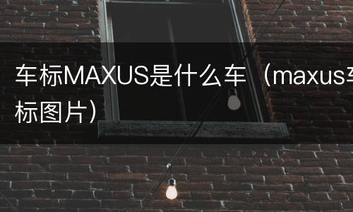 车标MAXUS是什么车（maxus车标图片）