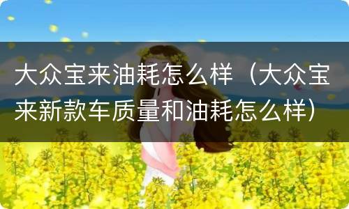 大众宝来油耗怎么样（大众宝来新款车质量和油耗怎么样）
