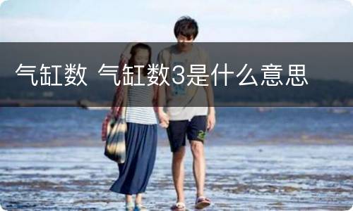 气缸数 气缸数3是什么意思
