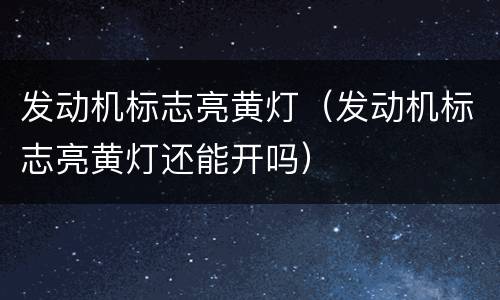 发动机标志亮黄灯（发动机标志亮黄灯还能开吗）