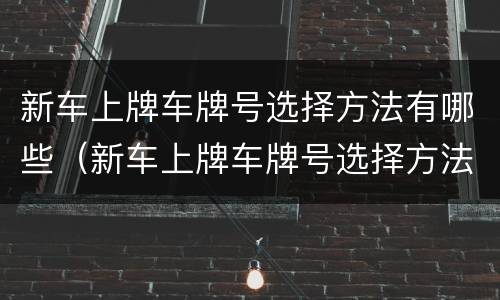 新车上牌车牌号选择方法有哪些（新车上牌车牌号选择方法有哪些规定）