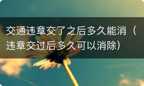 交通违章交了之后多久能消（违章交过后多久可以消除）