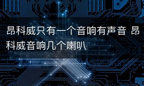 昂科威只有一个音响有声音 昂科威音响几个喇叭