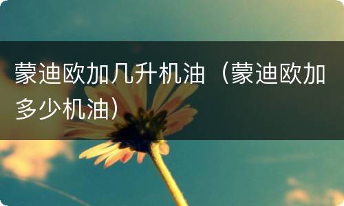 蒙迪欧加几升机油（蒙迪欧加多少机油）