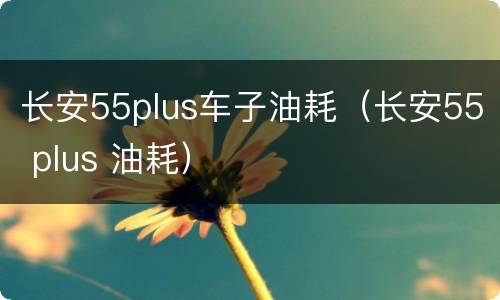 长安55plus车子油耗（长安55 plus 油耗）