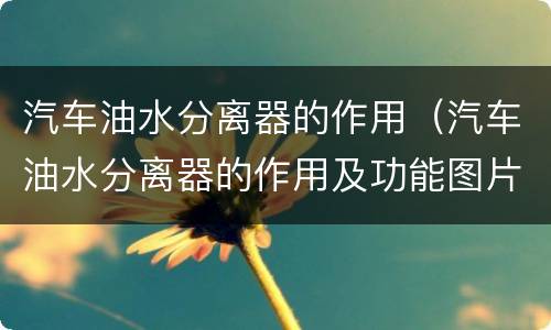 汽车油水分离器的作用（汽车油水分离器的作用及功能图片）