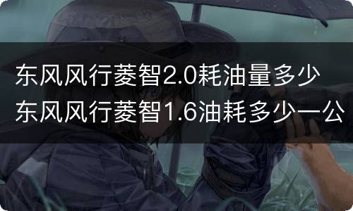 东风风行菱智2.0耗油量多少 东风风行菱智1.6油耗多少一公里