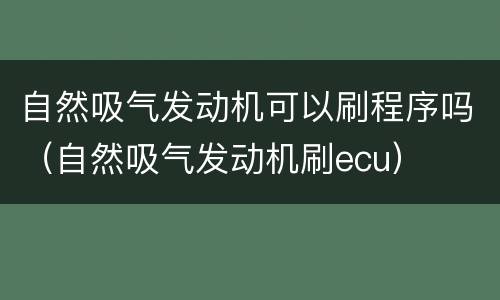 自然吸气发动机可以刷程序吗（自然吸气发动机刷ecu）