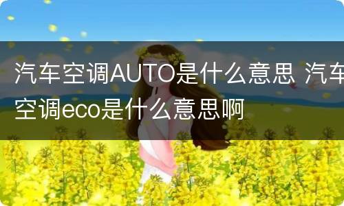 汽车空调AUTO是什么意思 汽车空调eco是什么意思啊