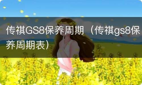 传祺GS8保养周期（传祺gs8保养周期表）