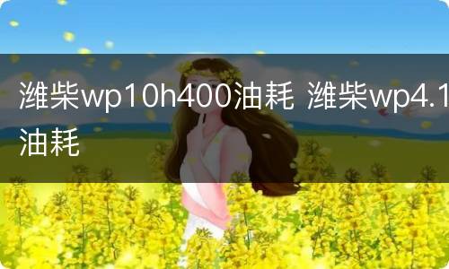 潍柴wp10h400油耗 潍柴wp4.1油耗
