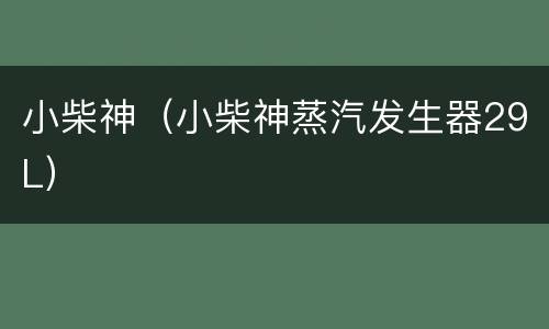 小柴神（小柴神蒸汽发生器29L）