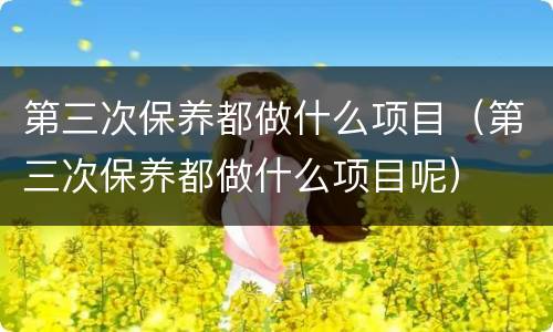第三次保养都做什么项目（第三次保养都做什么项目呢）