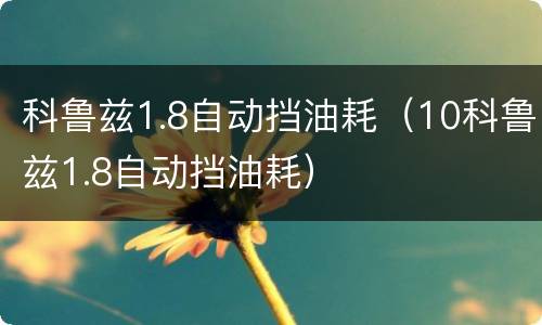 科鲁兹1.8自动挡油耗（10科鲁兹1.8自动挡油耗）