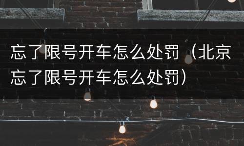 忘了限号开车怎么处罚（北京忘了限号开车怎么处罚）