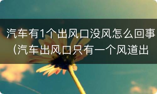 汽车有1个出风口没风怎么回事（汽车出风口只有一个风道出风）