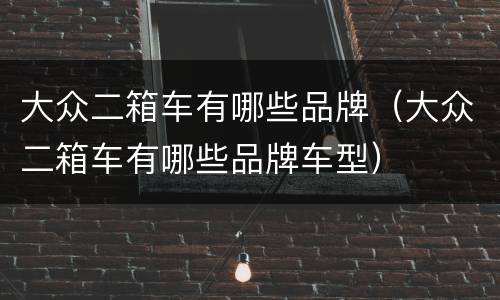 大众二箱车有哪些品牌（大众二箱车有哪些品牌车型）