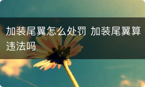 加装尾翼怎么处罚 加装尾翼算违法吗