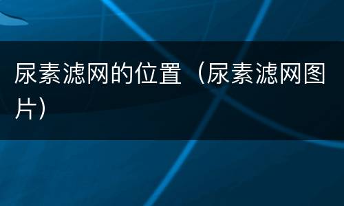 尿素滤网的位置（尿素滤网图片）