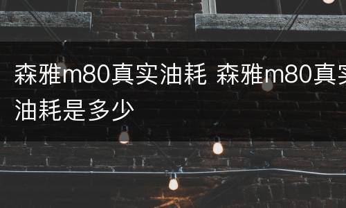 森雅m80真实油耗 森雅m80真实油耗是多少