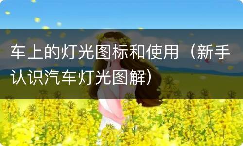 车上的灯光图标和使用（新手认识汽车灯光图解）