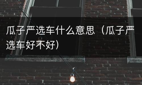 瓜子严选车什么意思（瓜子严选车好不好）