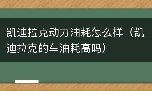 凯迪拉克动力油耗怎么样（凯迪拉克的车油耗高吗）