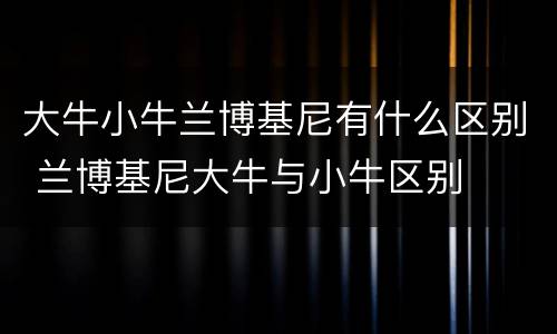 大牛小牛兰博基尼有什么区别 兰博基尼大牛与小牛区别