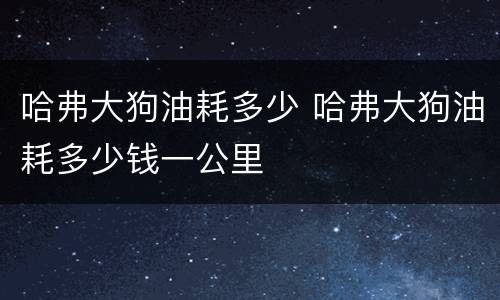 哈弗大狗油耗多少 哈弗大狗油耗多少钱一公里